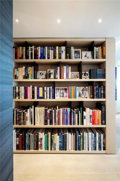 Stunning bookshelves with lighting!