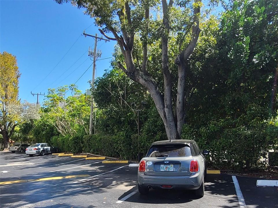 Plenty guest parking