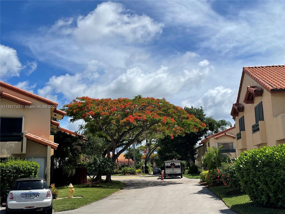 Недавно продано: $490,000 (3 спален, 2 ванн, 1348 Квадратных фут)