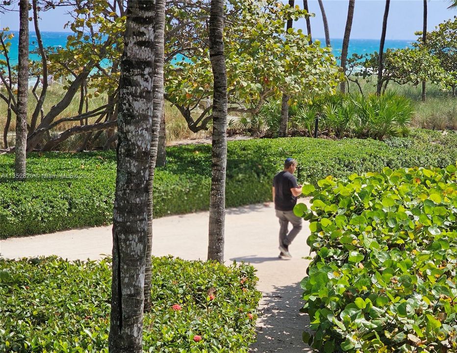 Exercising while walking on the beach trail