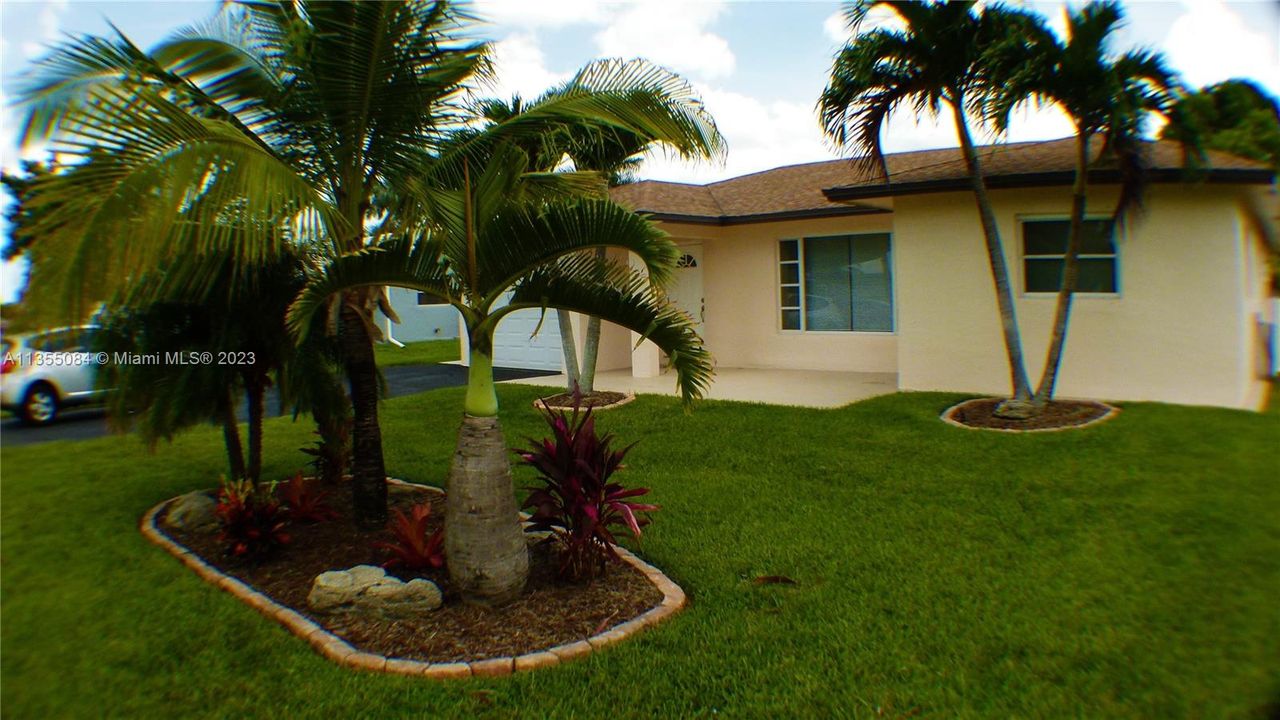 Palm trees in front landscaping - Landlord to maintain