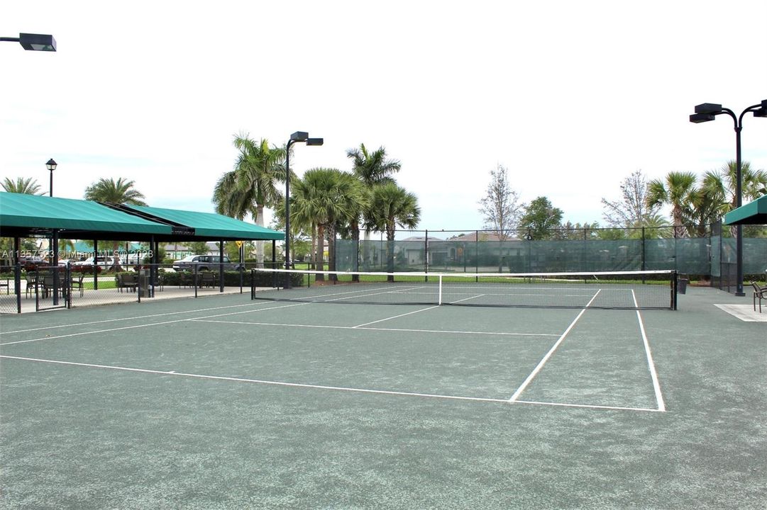 Dog Park
