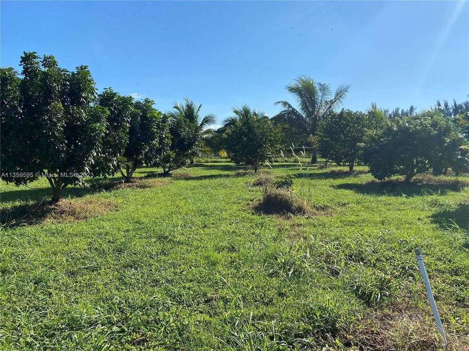 Vendido Recientemente: $650,000 (4.50 acres)