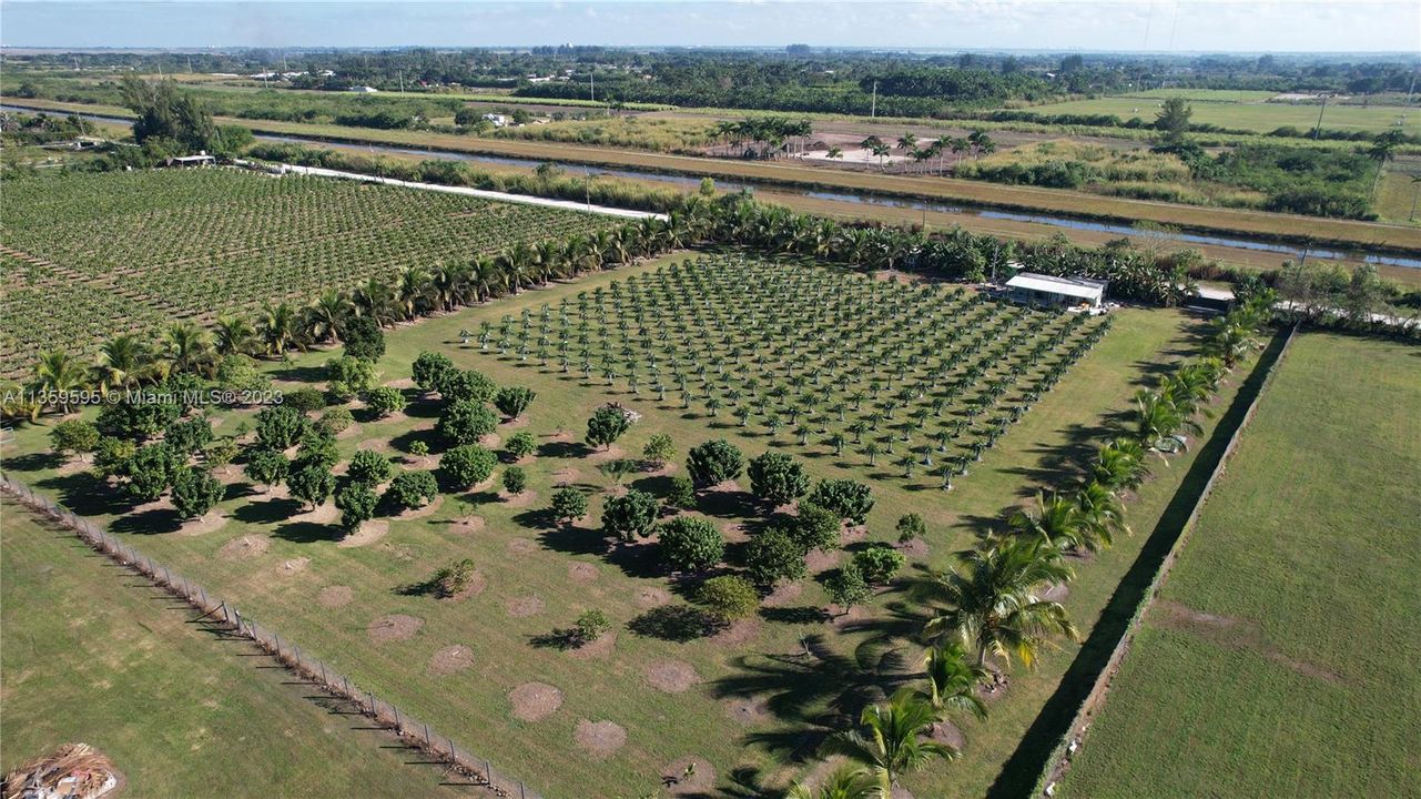 Vendido Recientemente: $650,000 (4.50 acres)