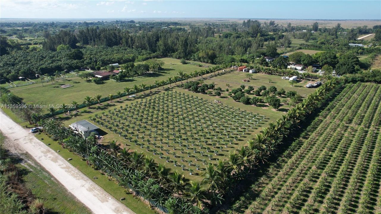 Недавно продано: $650,000 (4.50 acres)