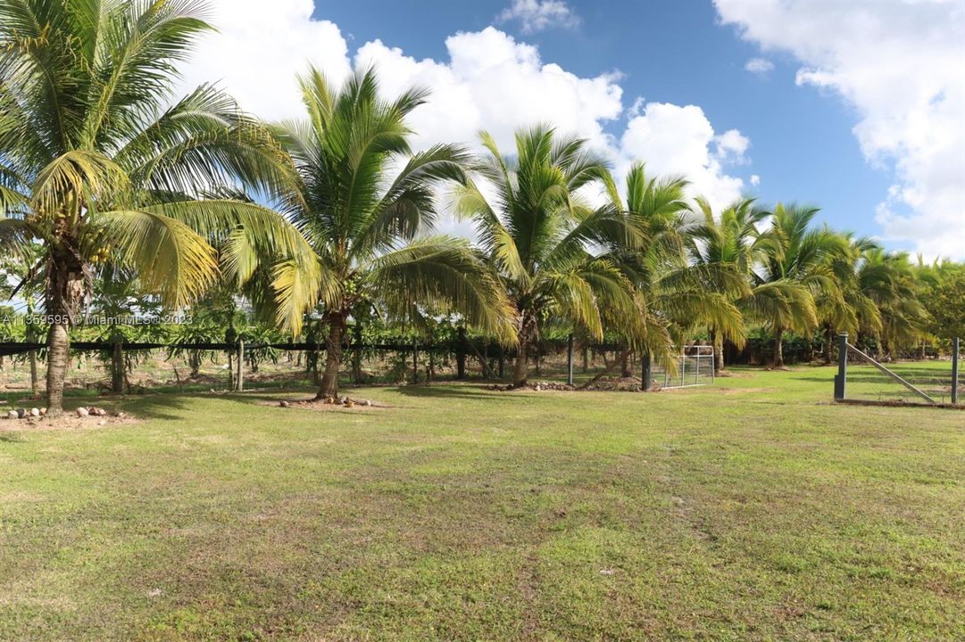 Vendido Recientemente: $650,000 (4.50 acres)