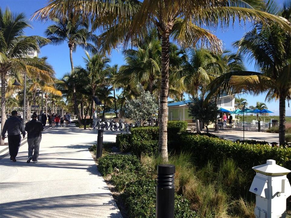 Недавно арендовано: $1,700 (1 спален, 1 ванн, 530 Квадратных фут)