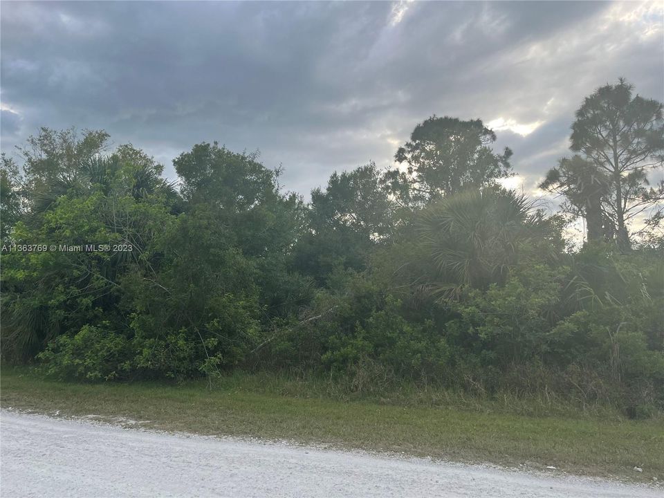 Recently Sold: $45,000 (1.25 acres)