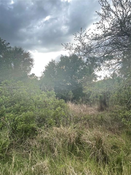 Recently Sold: $45,000 (1.25 acres)