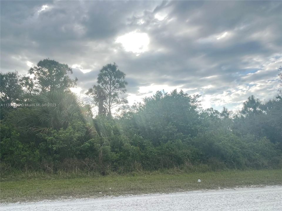 Recently Sold: $45,000 (1.25 acres)