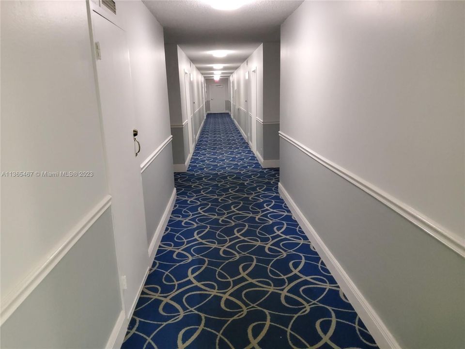 16th floor hallway
