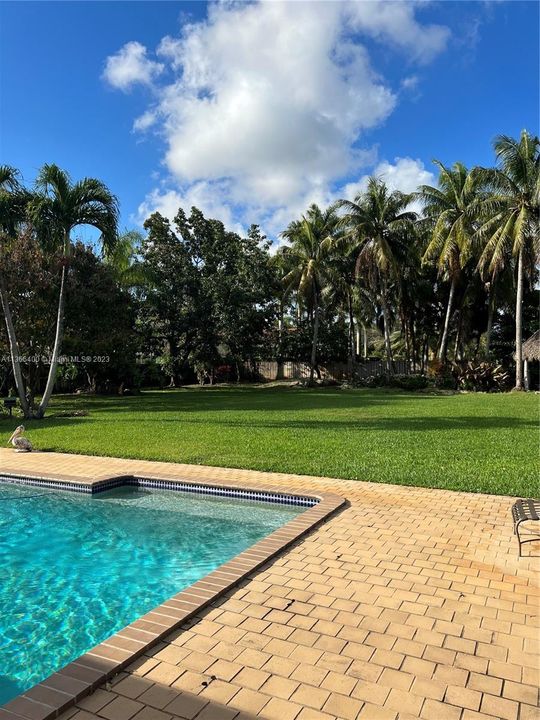 Recently Sold: $1,775,000 (5 beds, 4 baths, 4500 Square Feet)