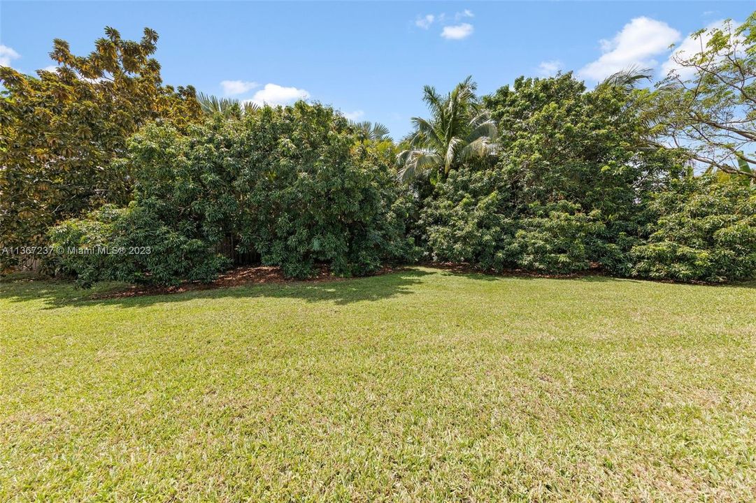 PLENTY OF OPEN SPACES WITH PRIVACY...ASSORTED FRUIT TREE'S PLUS SURROUND THE PROPERTY