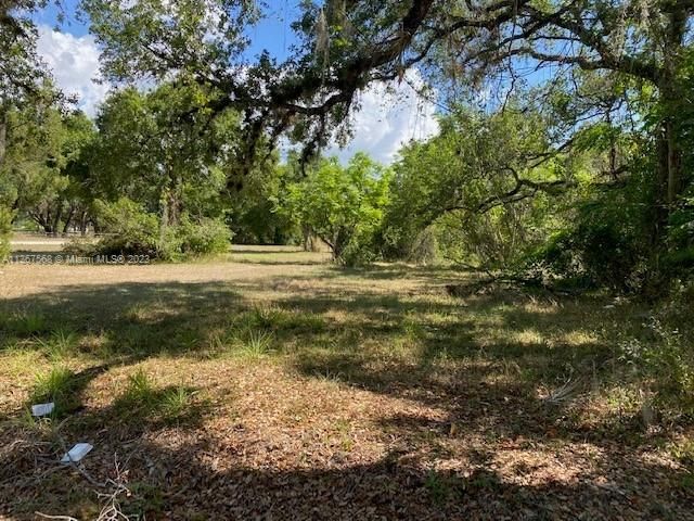 Recently Sold: $85,000 (1.75 acres)