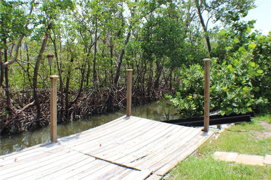 dock, kayak launch