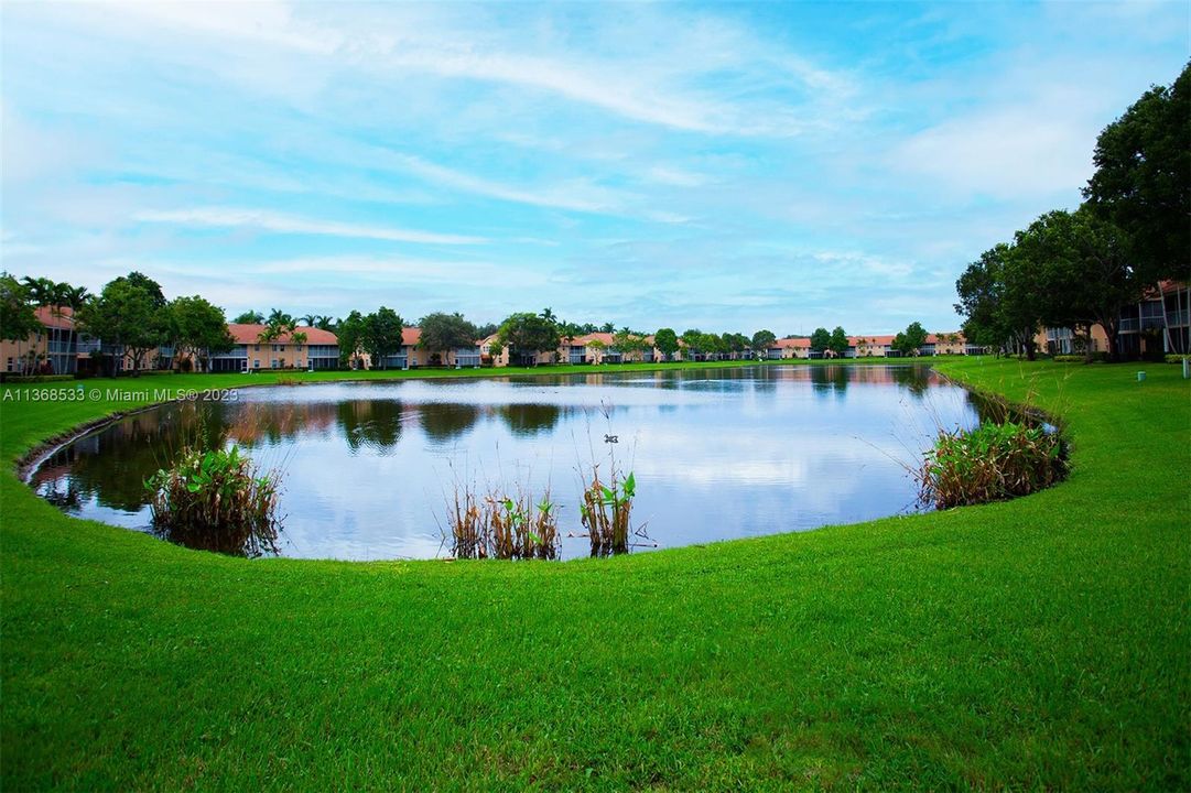 Large Lake for Peaceful Evenings/Backyard