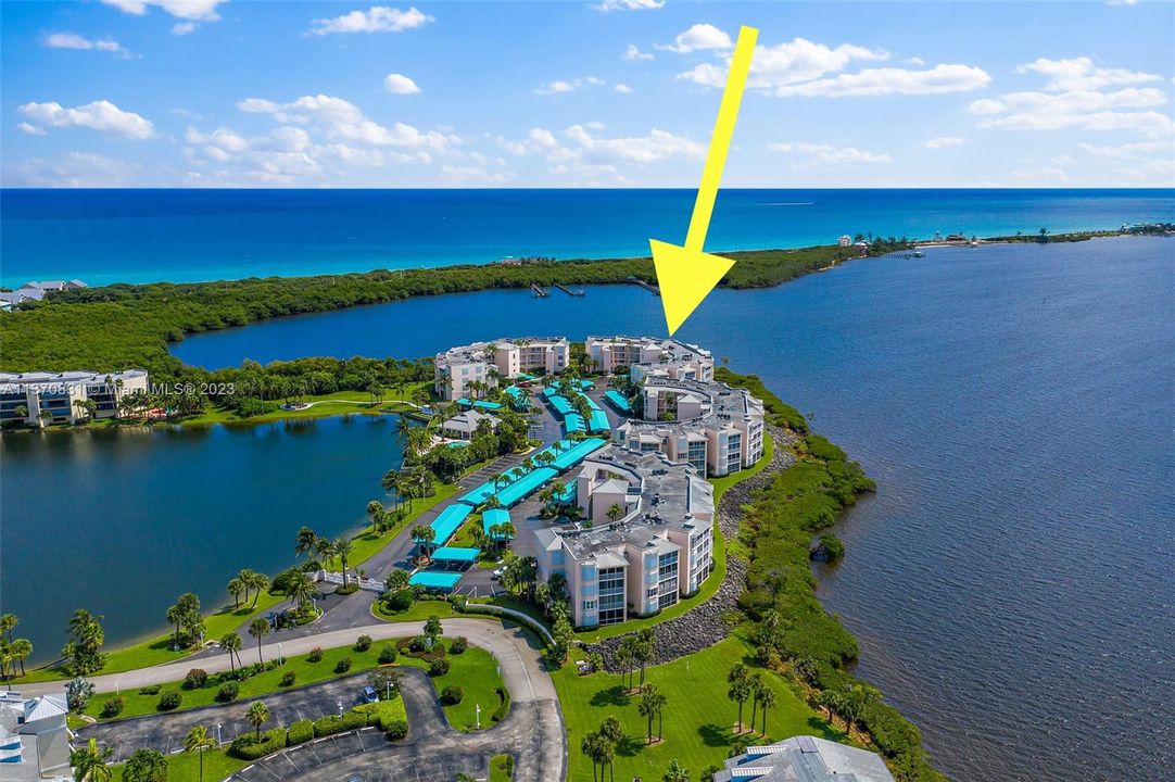 Недавно арендовано: $4,500 (2 спален, 2 ванн, 1204 Квадратных фут)