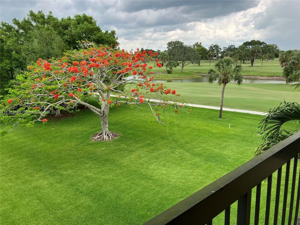 Sweeping golf course views