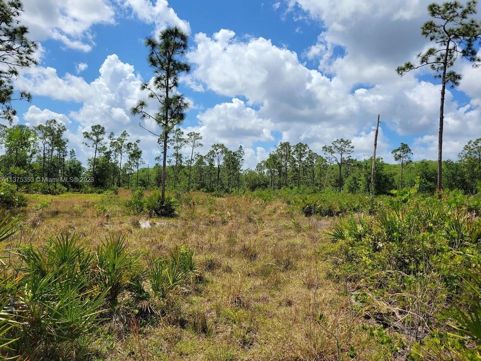 Недавно продано: $249,900 (10.00 acres)