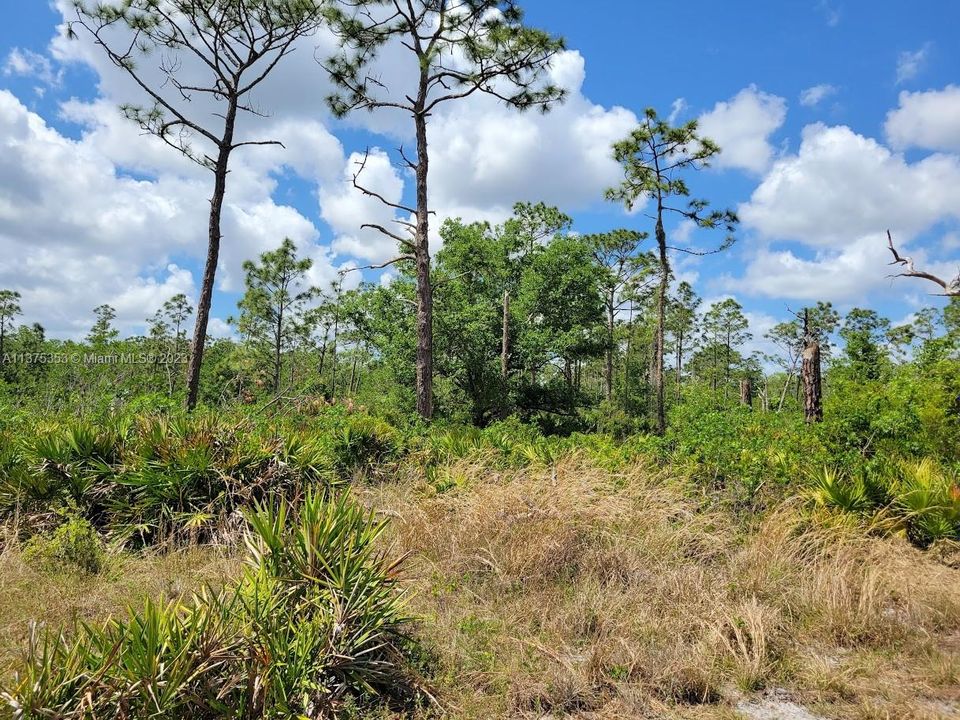 Недавно продано: $249,900 (10.00 acres)