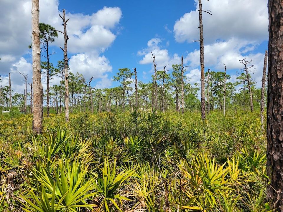 Недавно продано: $249,900 (10.00 acres)