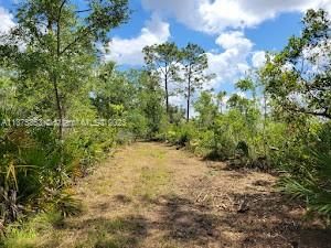 Недавно продано: $249,900 (10.00 acres)