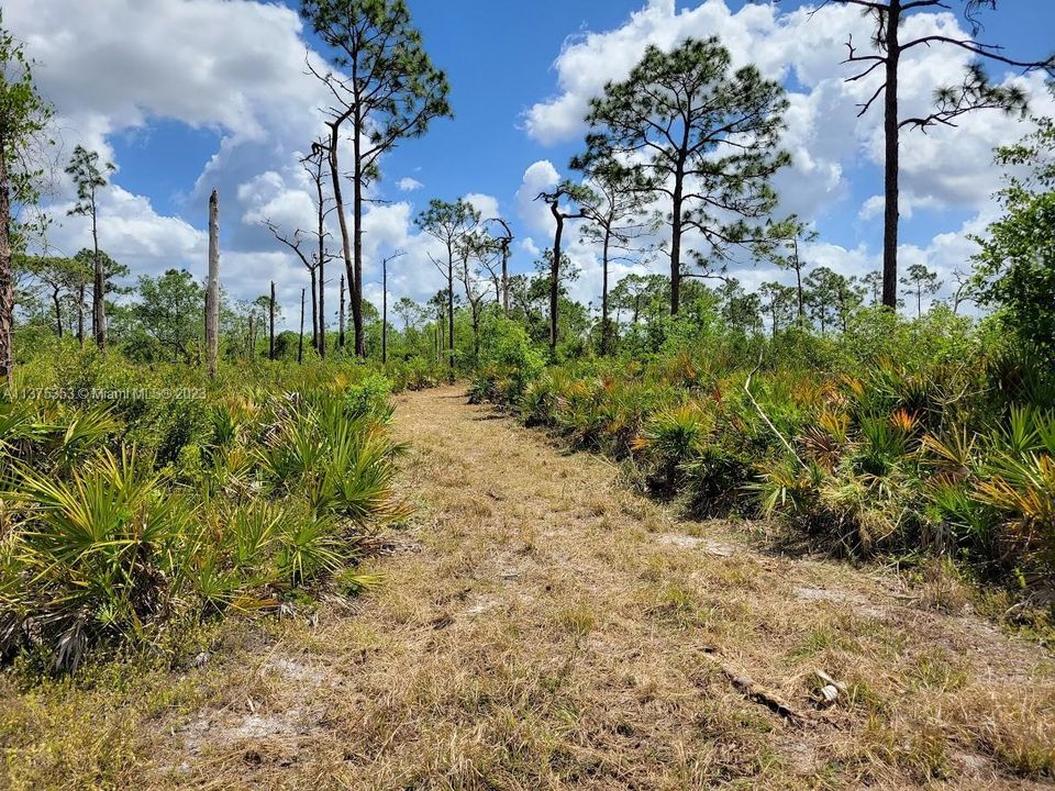 Недавно продано: $249,900 (10.00 acres)