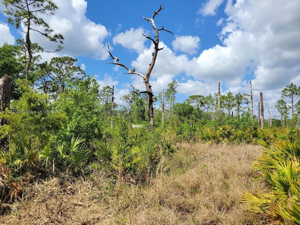 Недавно продано: $249,900 (10.00 acres)