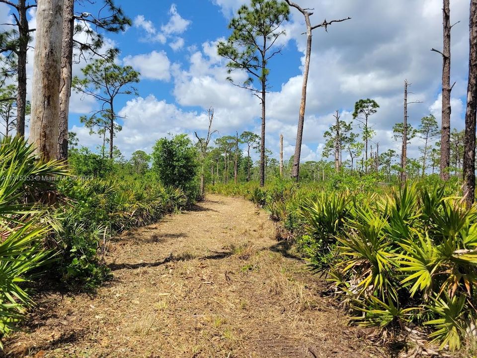 Недавно продано: $249,900 (10.00 acres)