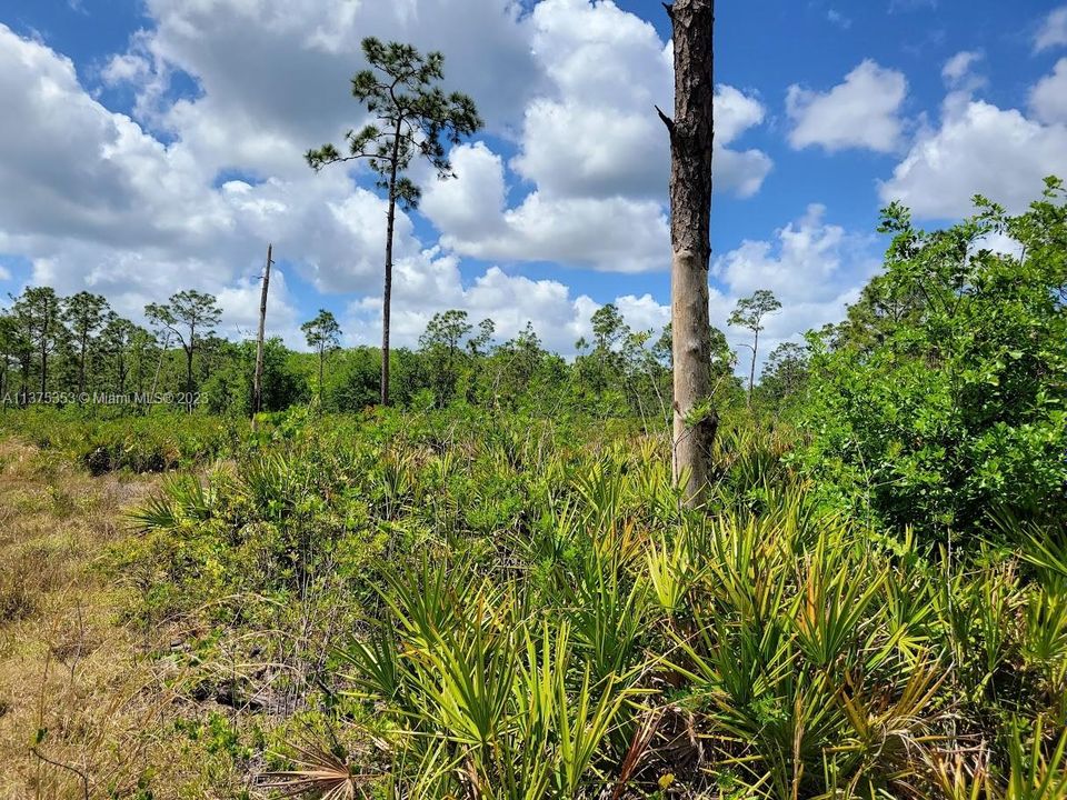 Недавно продано: $249,900 (10.00 acres)