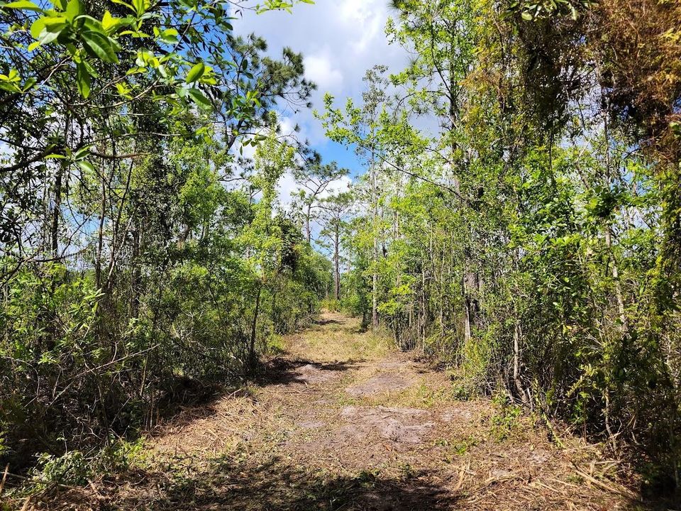 Недавно продано: $249,900 (10.00 acres)