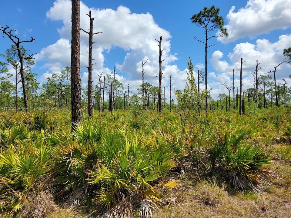 Недавно продано: $249,900 (10.00 acres)