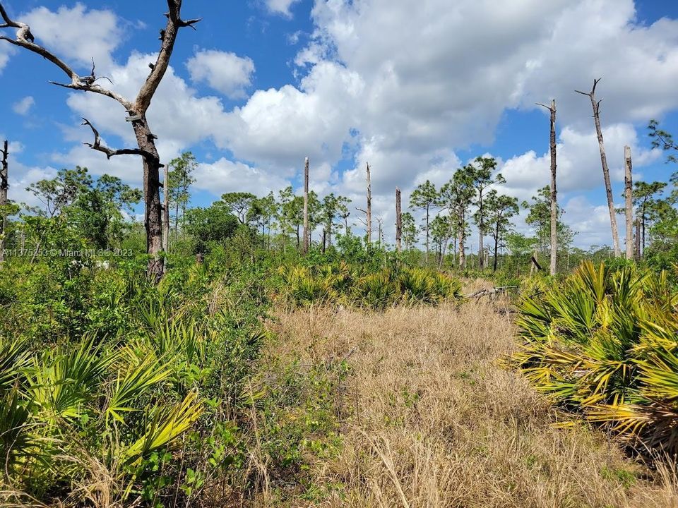 Недавно продано: $249,900 (10.00 acres)