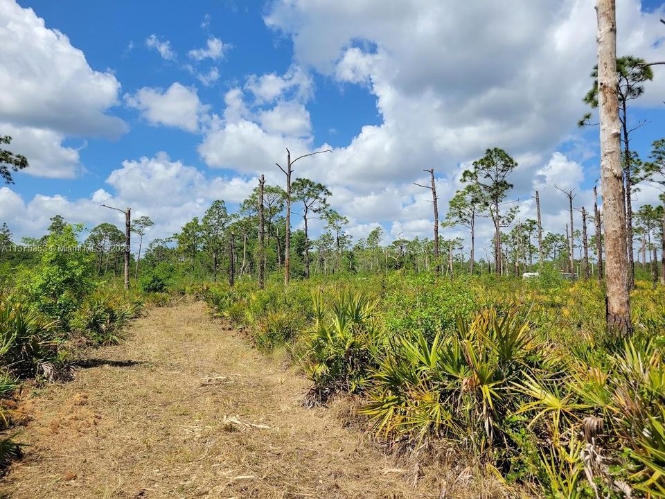 Недавно продано: $249,900 (10.00 acres)