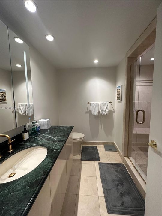 Main Bath: Double Door Shower, Updated Lighting and Fixtures