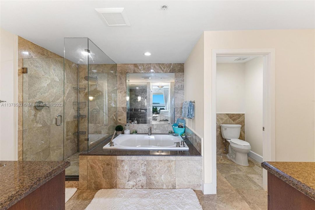 Primary Bathroom w/ jacuzzi tub, separate shower, dual sinks...