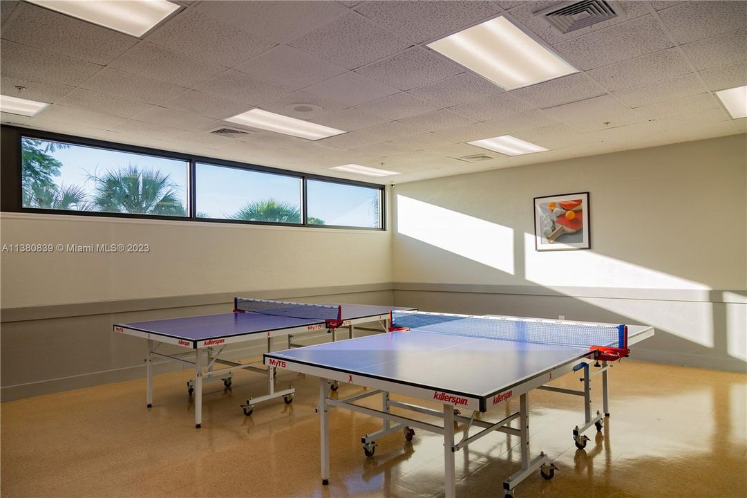 PING PONG TABLES