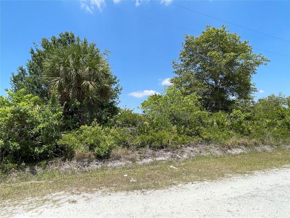 Active With Contract: $44,000 (1.25 acres)