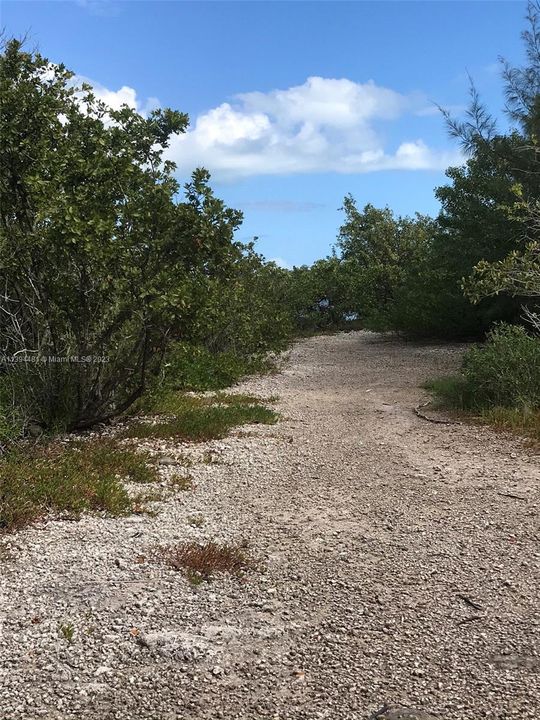 Active With Contract: $650,000 (0.39 acres)