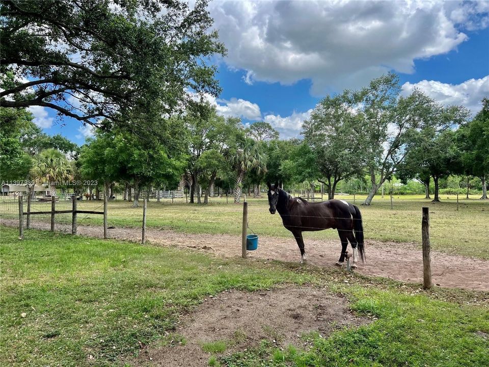 Vendido Recientemente: $499,000 (3 camas, 2 baños, 0 Pies cuadrados)