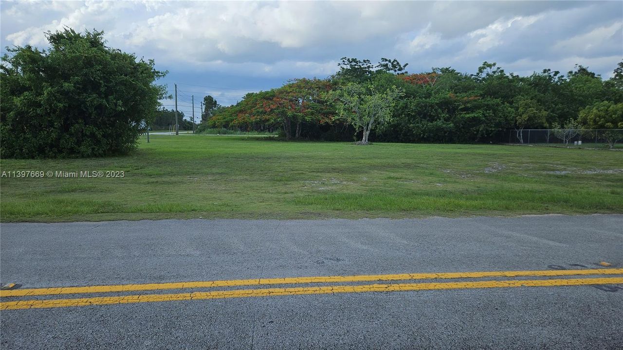 VIEW FROM SOUTH SIDE OF FACING NORTH - SIDE OF 192 AVE AND SW 353 ST.