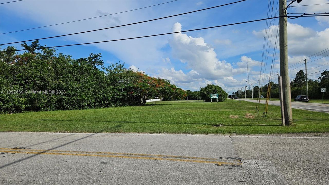 VIEW FROM NORTH SIDE OF LAND FACING SOUTH. CORNER OF SW 192 AVE AND 352 ST.