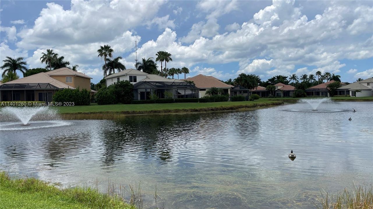 Lake View