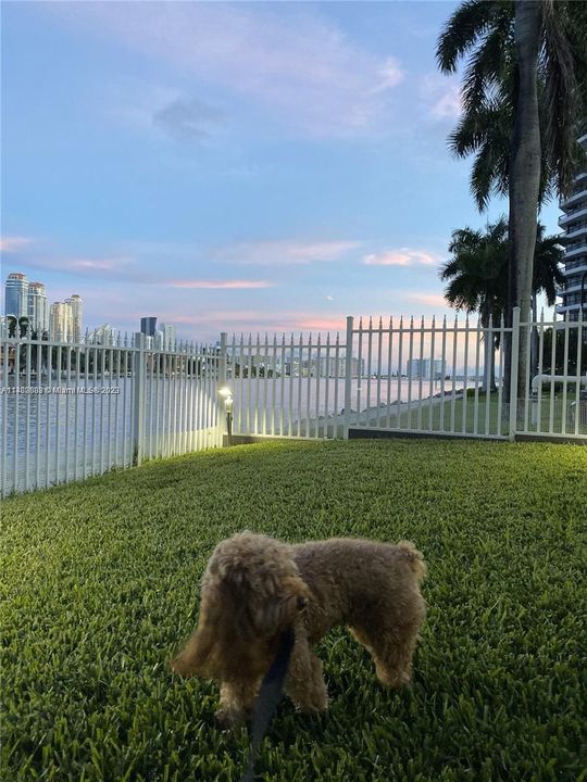 Recently Rented: $3,400 (2 beds, 2 baths, 1365 Square Feet)