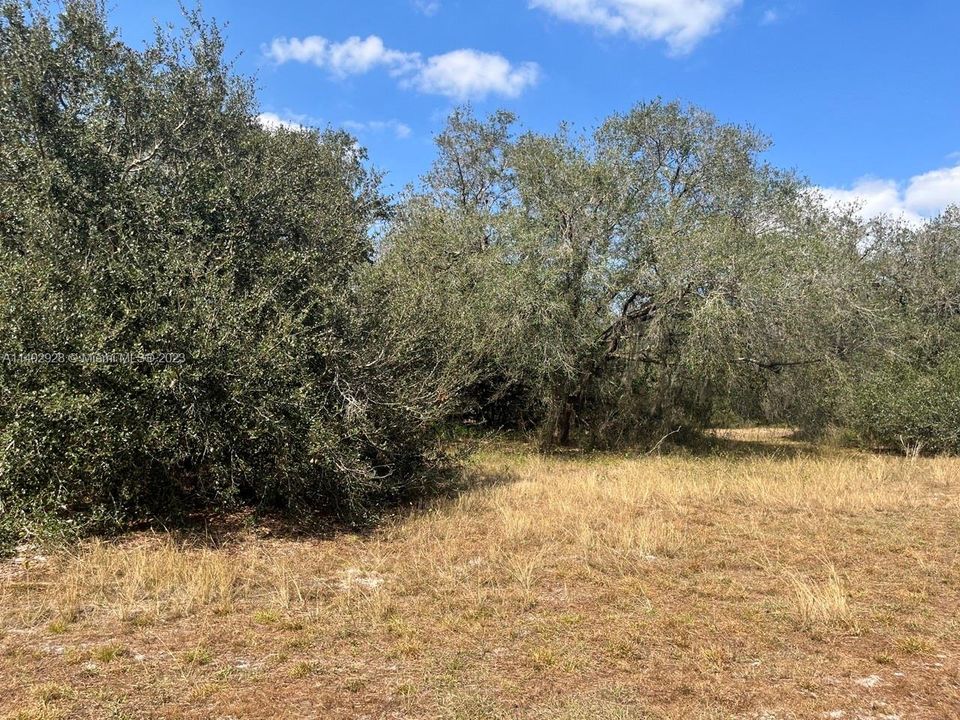 Recently Sold: $42,500 (1.25 acres)