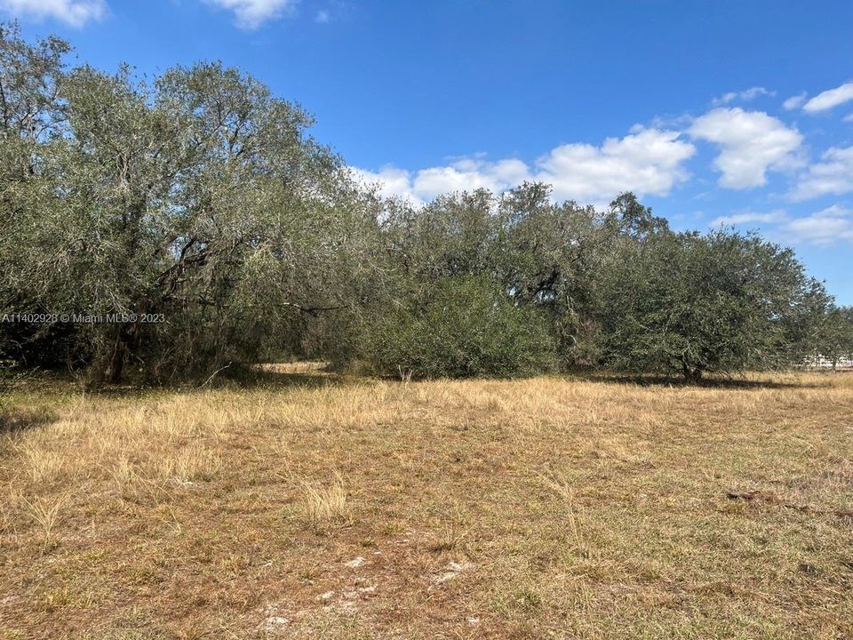 Vendido Recientemente: $42,500 (1.25 acres)