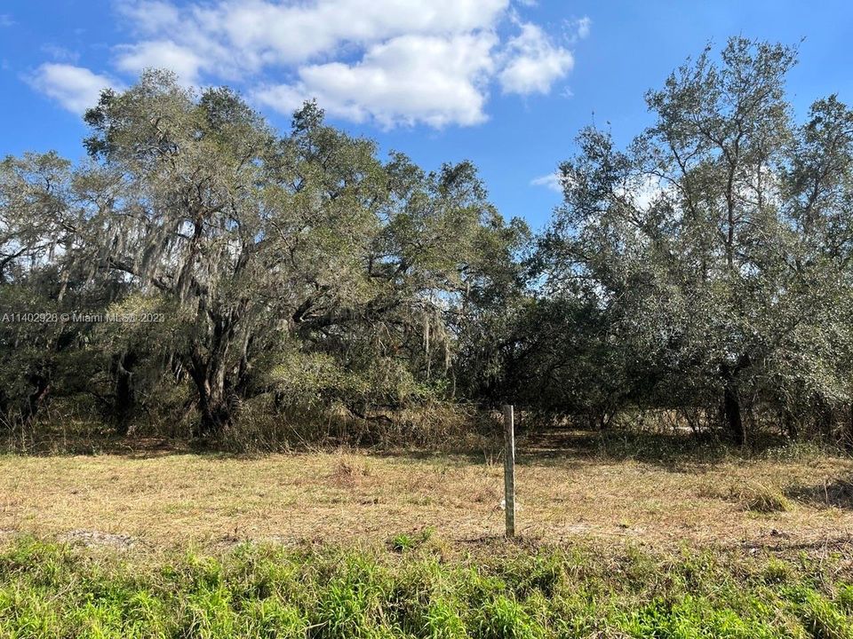 Recently Sold: $42,500 (1.25 acres)