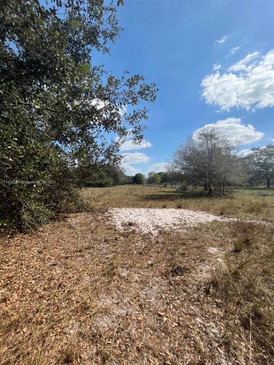 Recently Sold: $42,500 (1.25 acres)