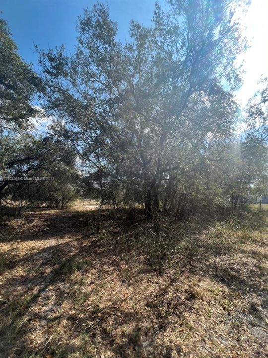 Recently Sold: $42,500 (1.25 acres)