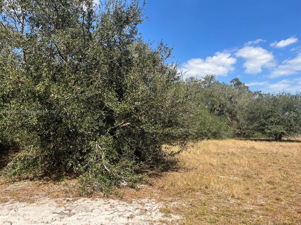 Recently Sold: $42,500 (1.25 acres)